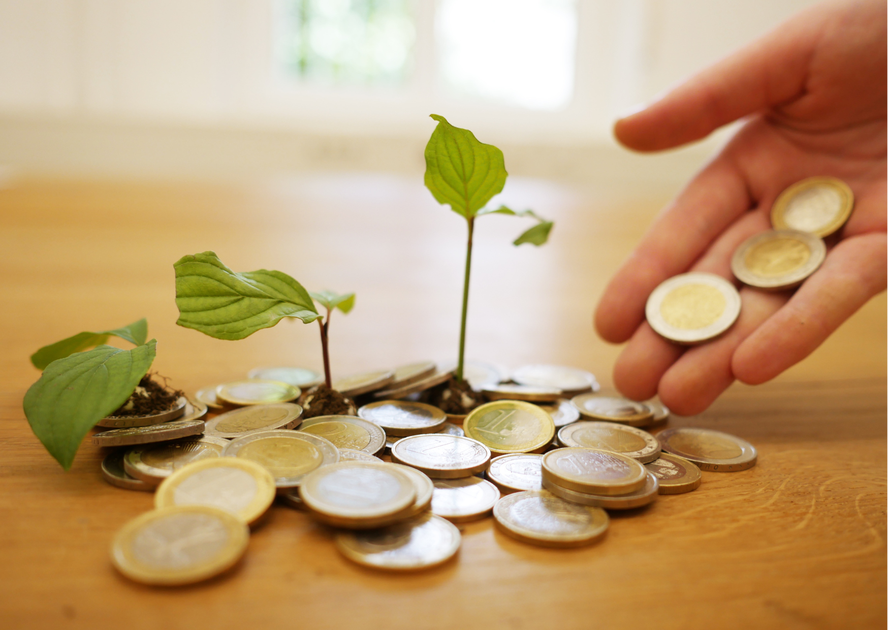 A hand empties more change into a pile of change that has saplings growing in it.