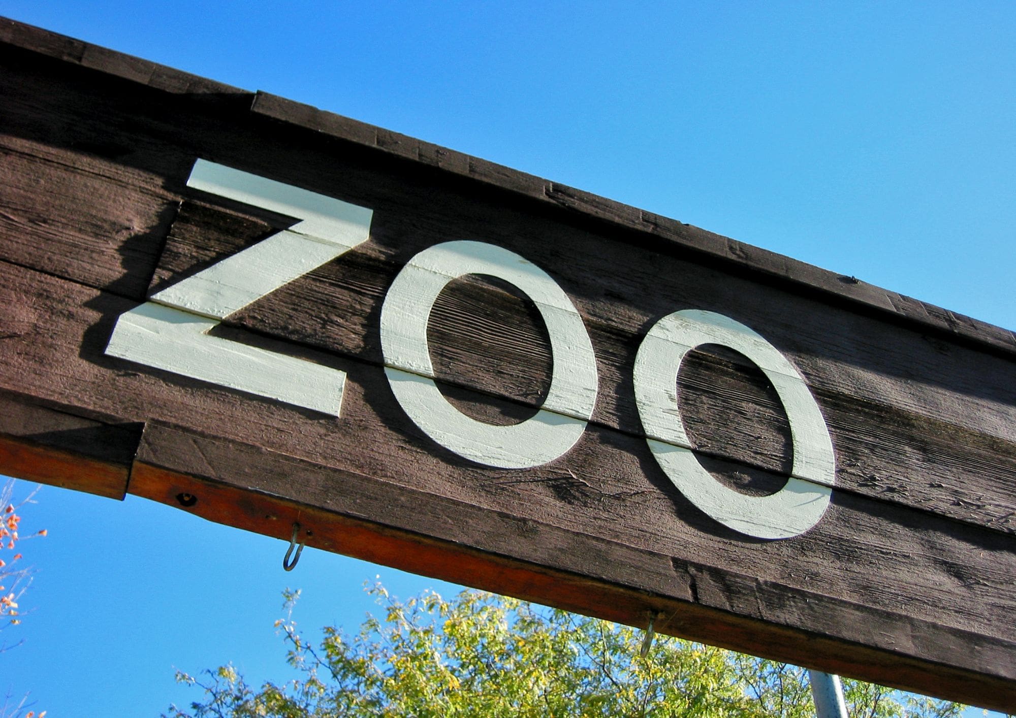 The SaaS Revenue Model Zoo: Survival of the Fittest